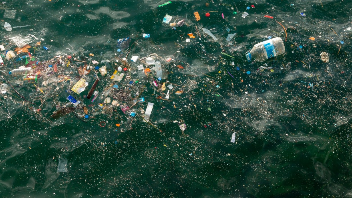 Watch Live Video from the Mariana Trench