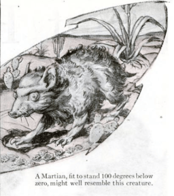 100 years of aliens: From Mars beavers to little gray men | Popular Science