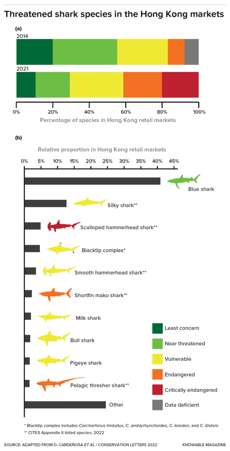 A scientific mission to save the sharks | Popular Science