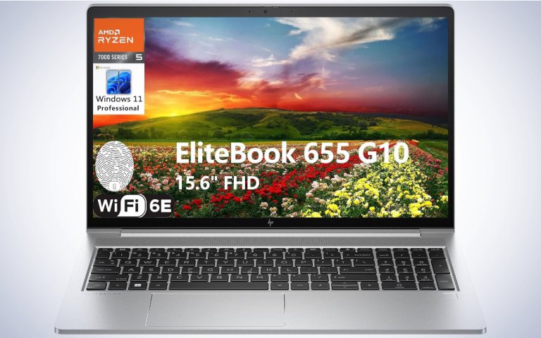 HP EliteBook 655 G10 on a plain white background.
