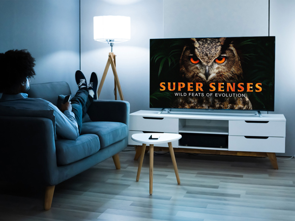 Someone watching a documentary on MagellanTV and sitting on a couch.