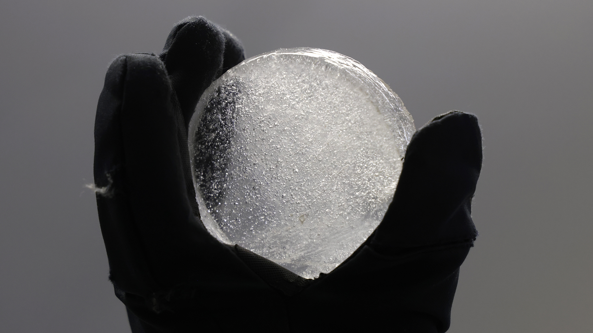 Over 1,700 frozen viruses found in a Tibetan glacier Over 1,700 frozen viruses found in a Tibetan glacier