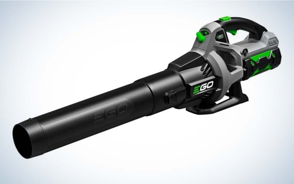 The best overall battery-powered leaf blower Ego