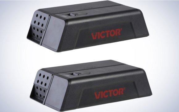 Victor Electronic Mouse Trap on a plain white background.