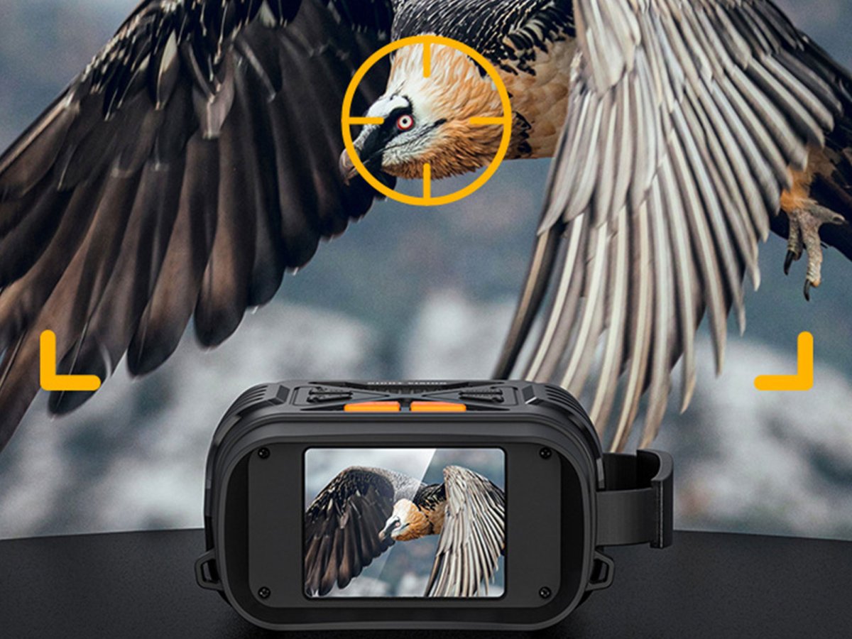 Think Birds Think bird watching is for grandmas? Try it in the dark | Popular Science