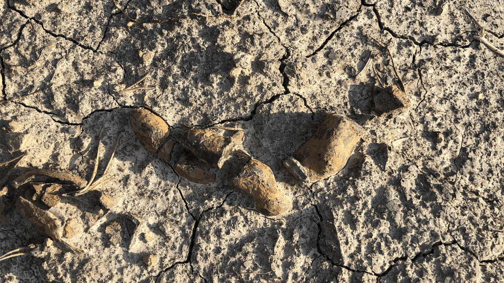 200-million-year-old dinosaur poop and vomit reveal a lost Jurassic ...