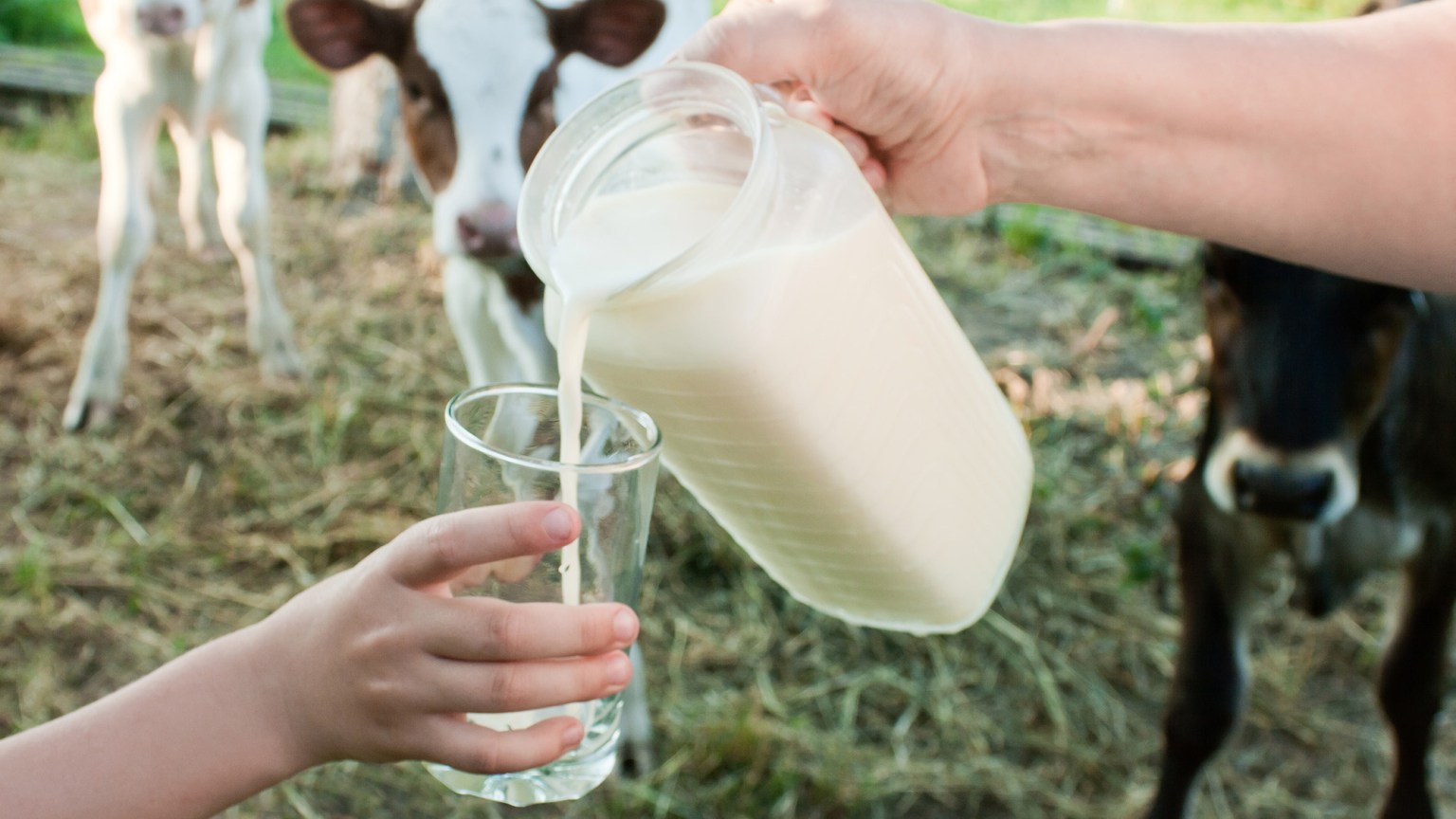 is-raw-milk-safe-science-has-a-clear-answer-popular-science