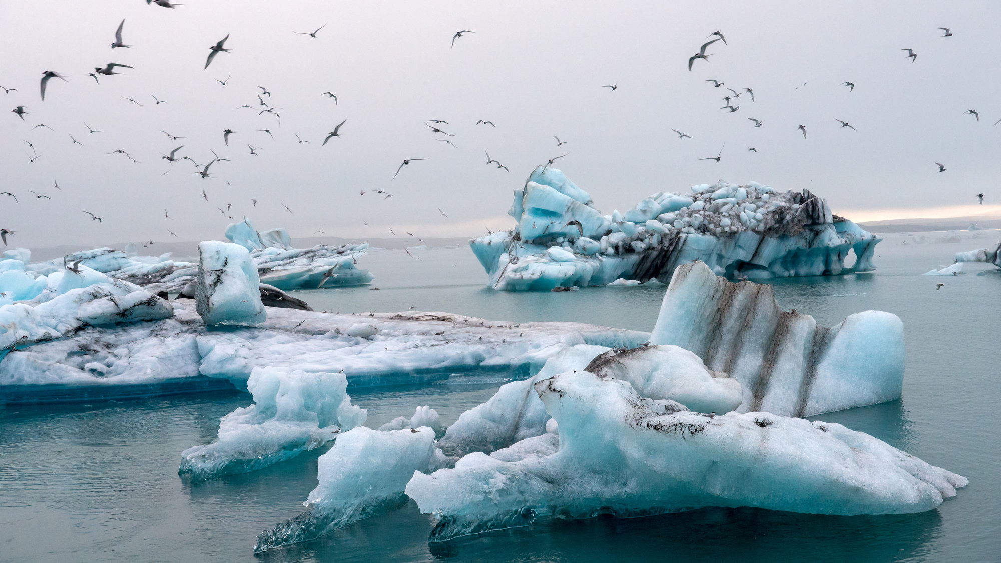 icebergs melting