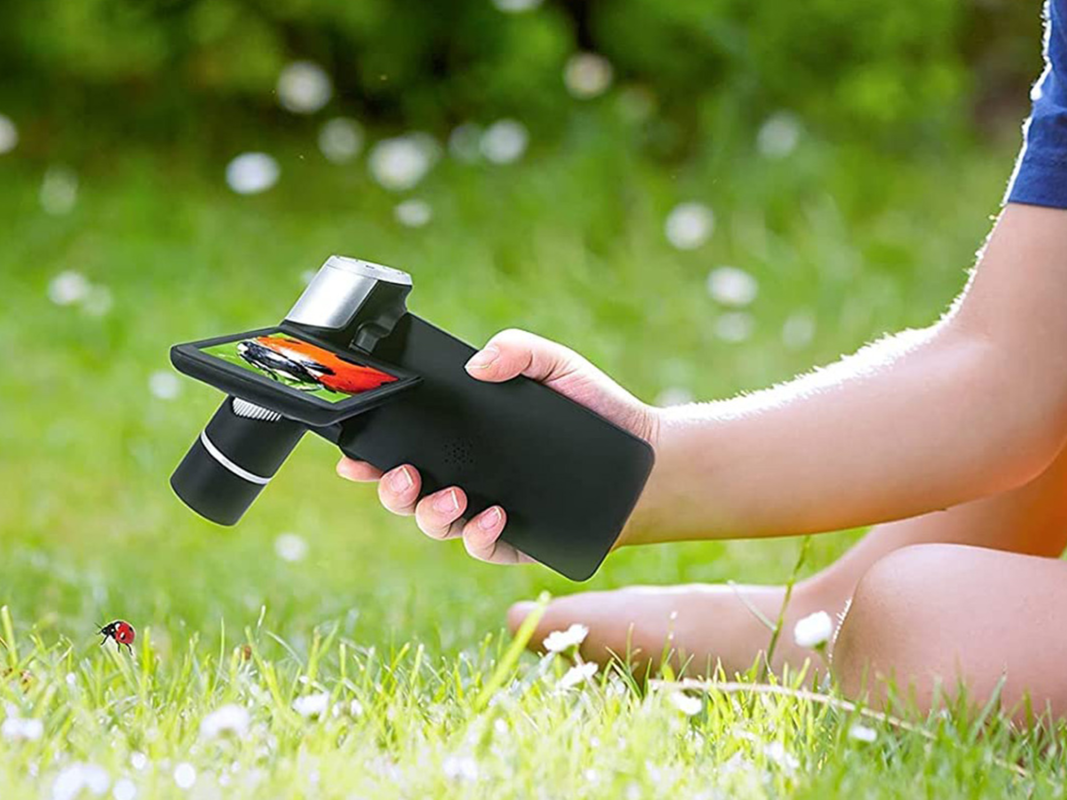 Make 2025 the year you see nature the way it was intended with