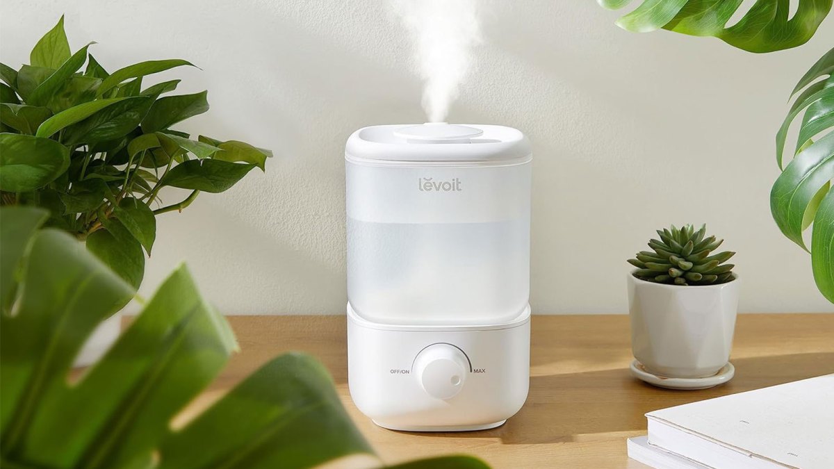 Humidifier Header If your eyes and sinuses feel dry right now, you need this $29 Levoit ...