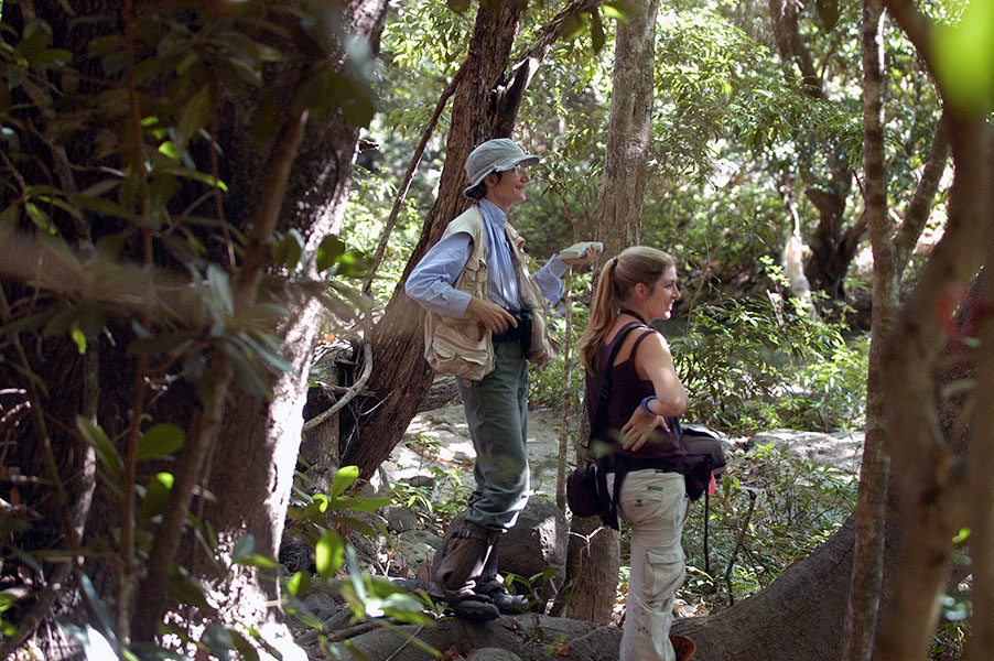 two people standing in the jungle