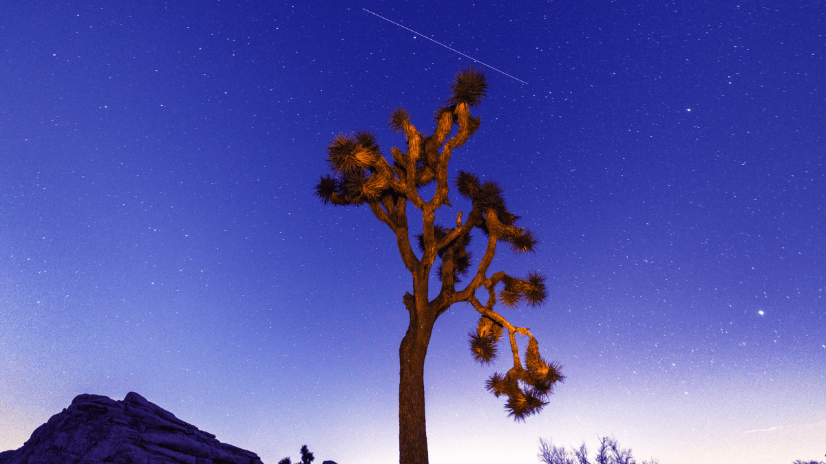 April skygazing: A pink micromoon, the Lyrid meteor shower, and more ...