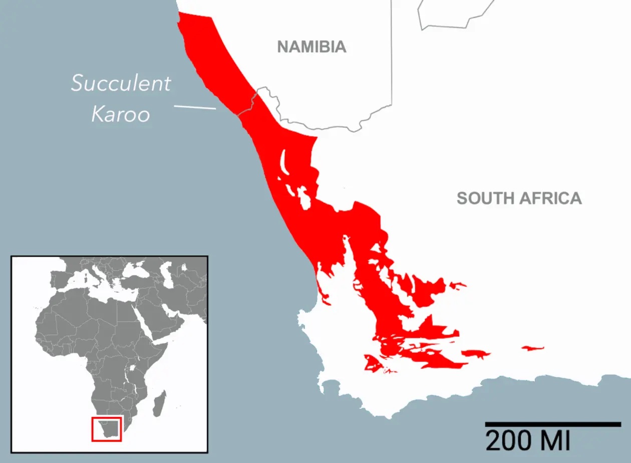 a map of south africa's succelent karoo