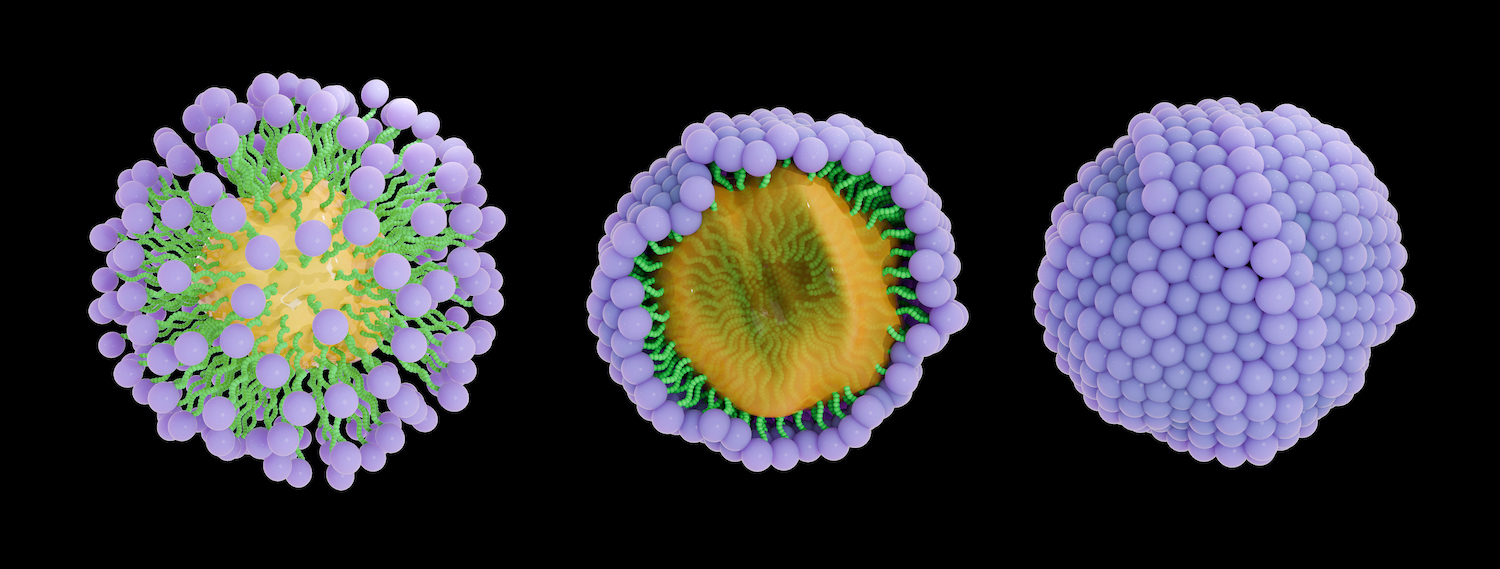 Illustration of soap molecules forming a micelle structure by surrounding and capturing dirt. The hydrophobic tail attracts grease and oily substances, while the hydrophilic head is attracted to water.