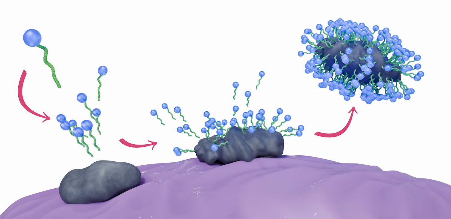 Illustration of soap molecules forming a micelle structure by surrounding and capturing dirt. The hydrophobic tail attracts grease and oily substances, while the hydrophilic head is attracted to water.