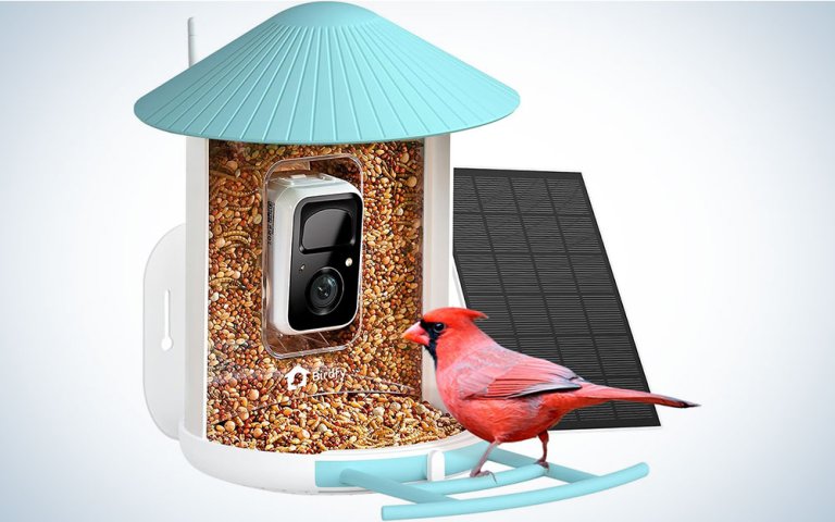 Birdfy Netvue smart bird feeder with a red bird on it on sale at Amazon