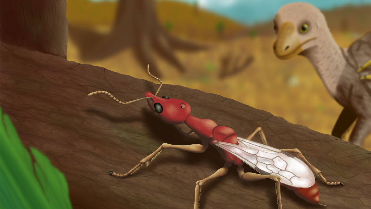 Extinct hell ant species used specialized jaws to impale its prey