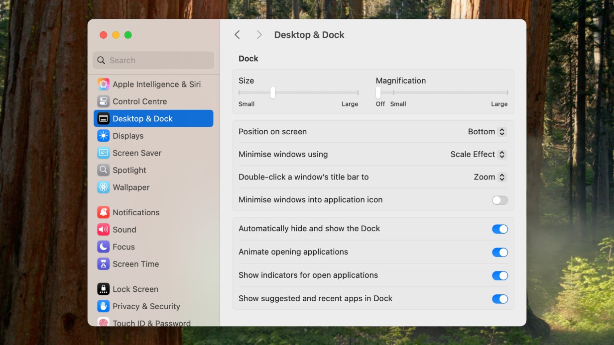 9 settings to change on your Mac | Popular Science