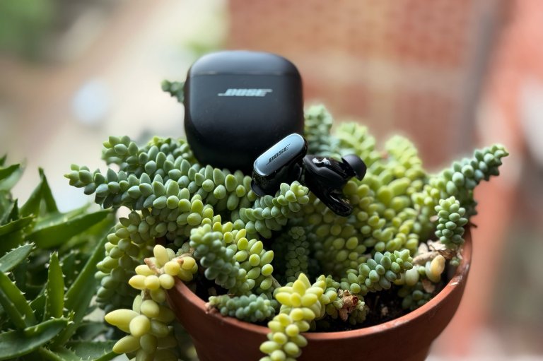 Black and silver Bose QuietComfort Ultra ANC Earbuds sitting on a bright green plant in front of a window