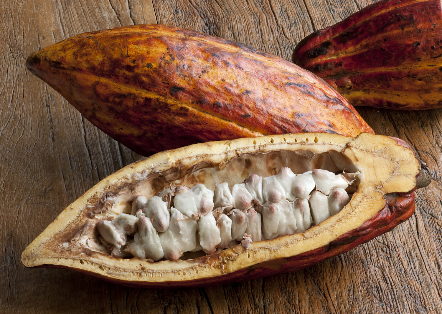 Cocoa pods and beans, reddish-skinned cocoa fruit, tropical exotic fruit on a wooden background.