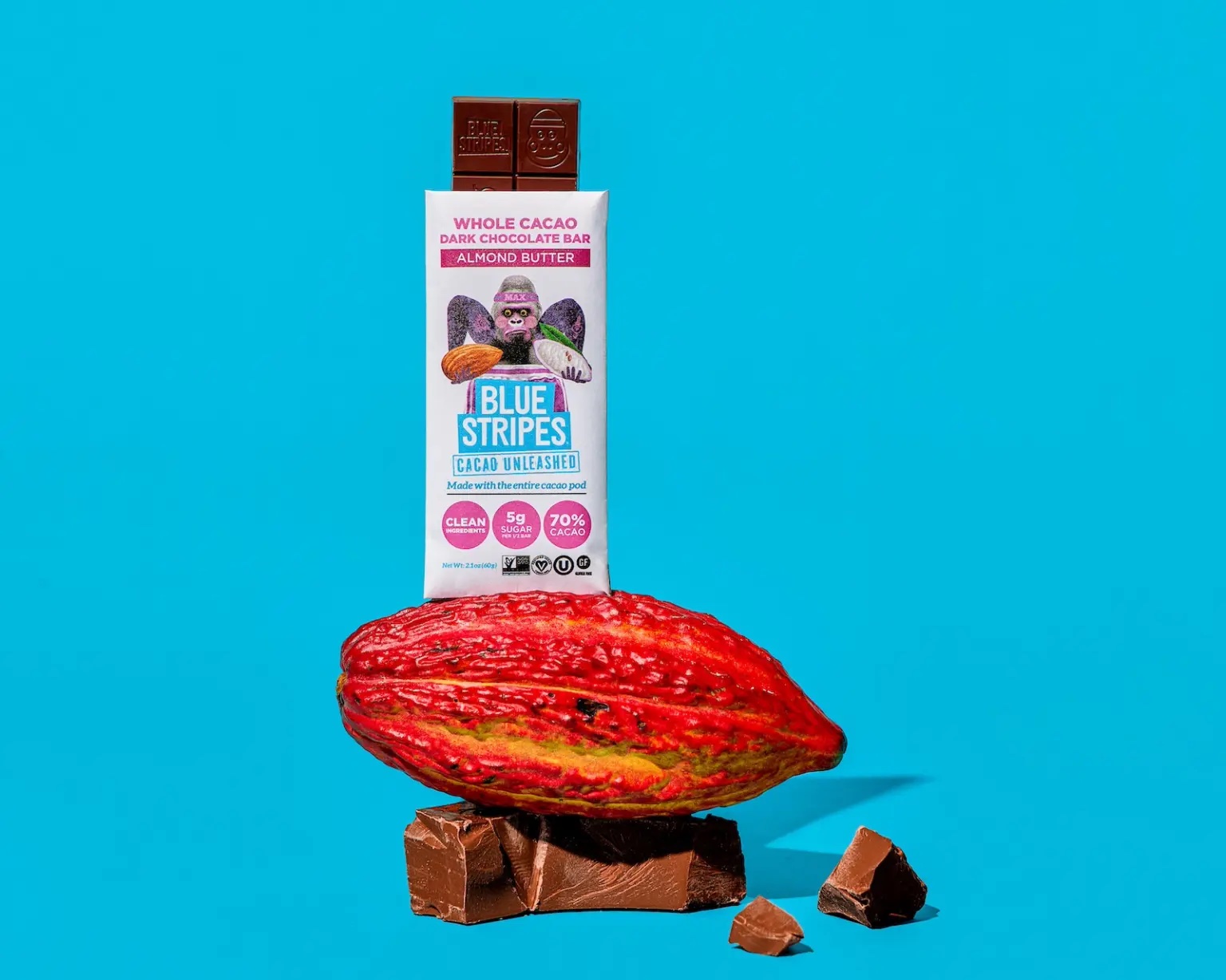 a cocoa plant, chocolate, and chocolate bar
