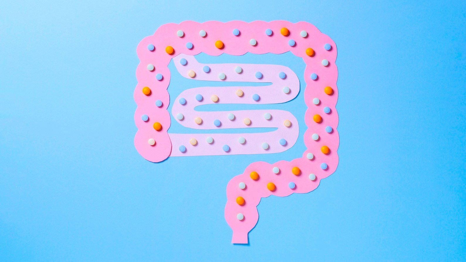 Will prebiotics and probiotics really help you poop? What gut experts say.