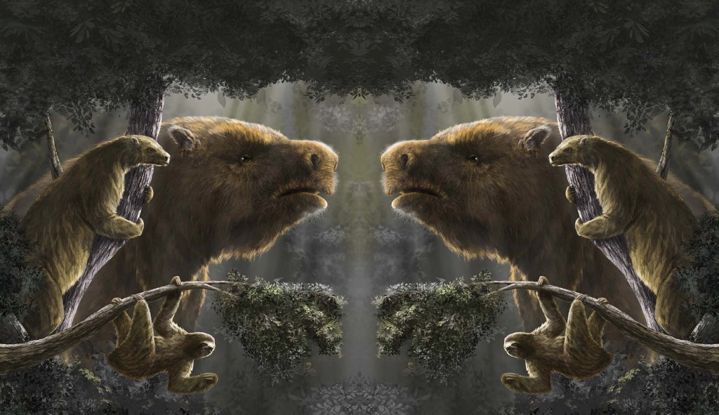 8,000-pound sloths once roamed North America. Where'd they go ...