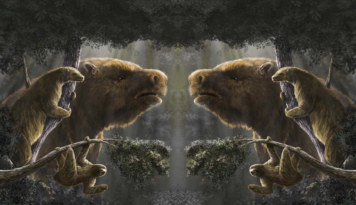 8,000-pound sloths once roamed North America. Where'd they go ...