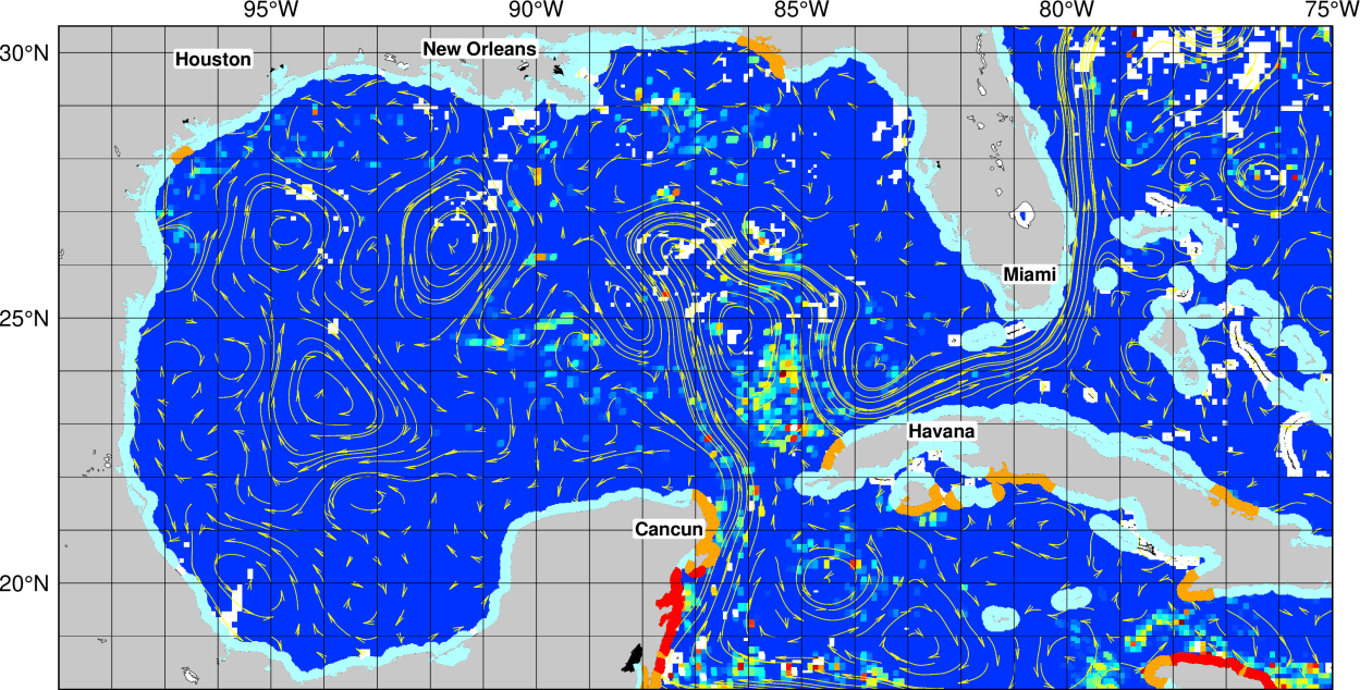 31 million tons of seaweed ready to stink up Florida's beaches ...