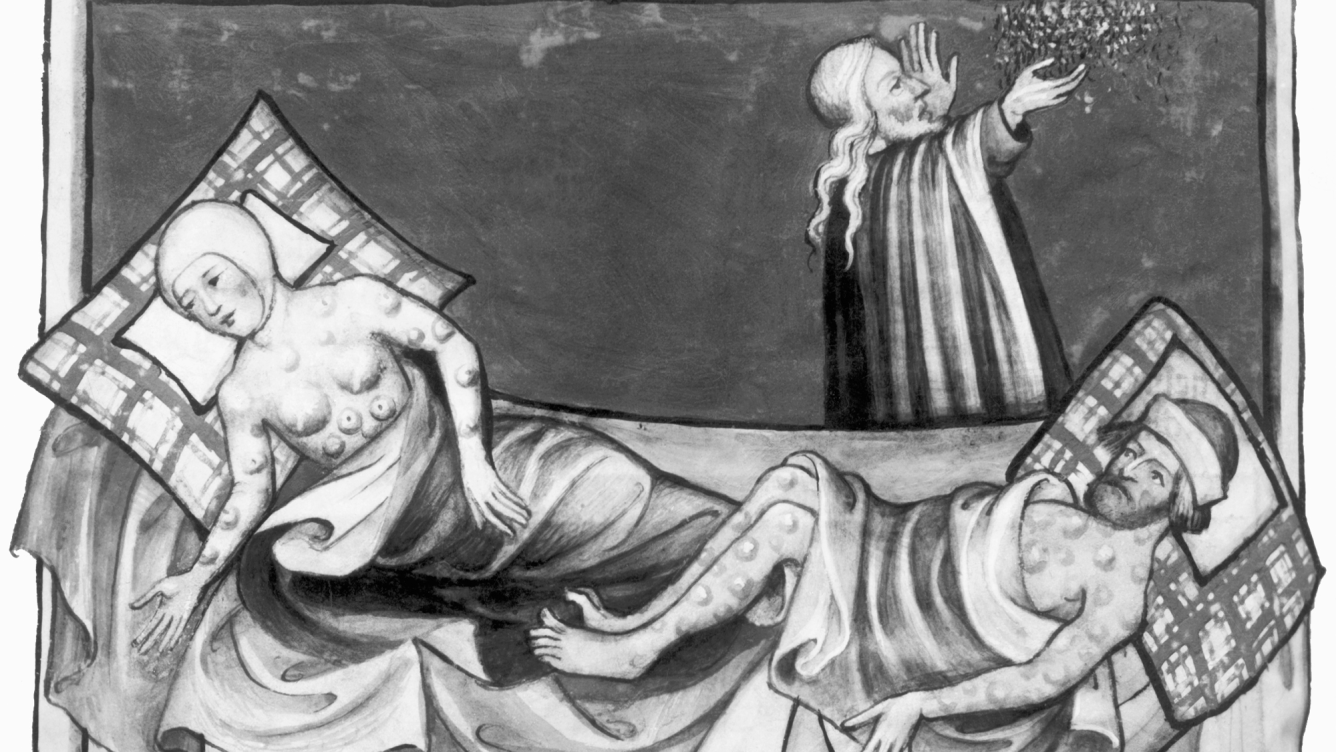 How The Bubonic Plague Has Survived For Centuries Popular Science