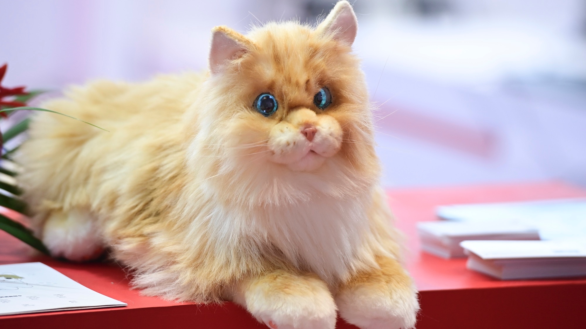 Bionic cat is on display during 2023 World Robot Conference at Beijing Etrong International Exhibition & Convention Center on August 16, 2023 in Beijing, China. (Photo by Tian Yuhao/China News Service/VCG via Getty Images)