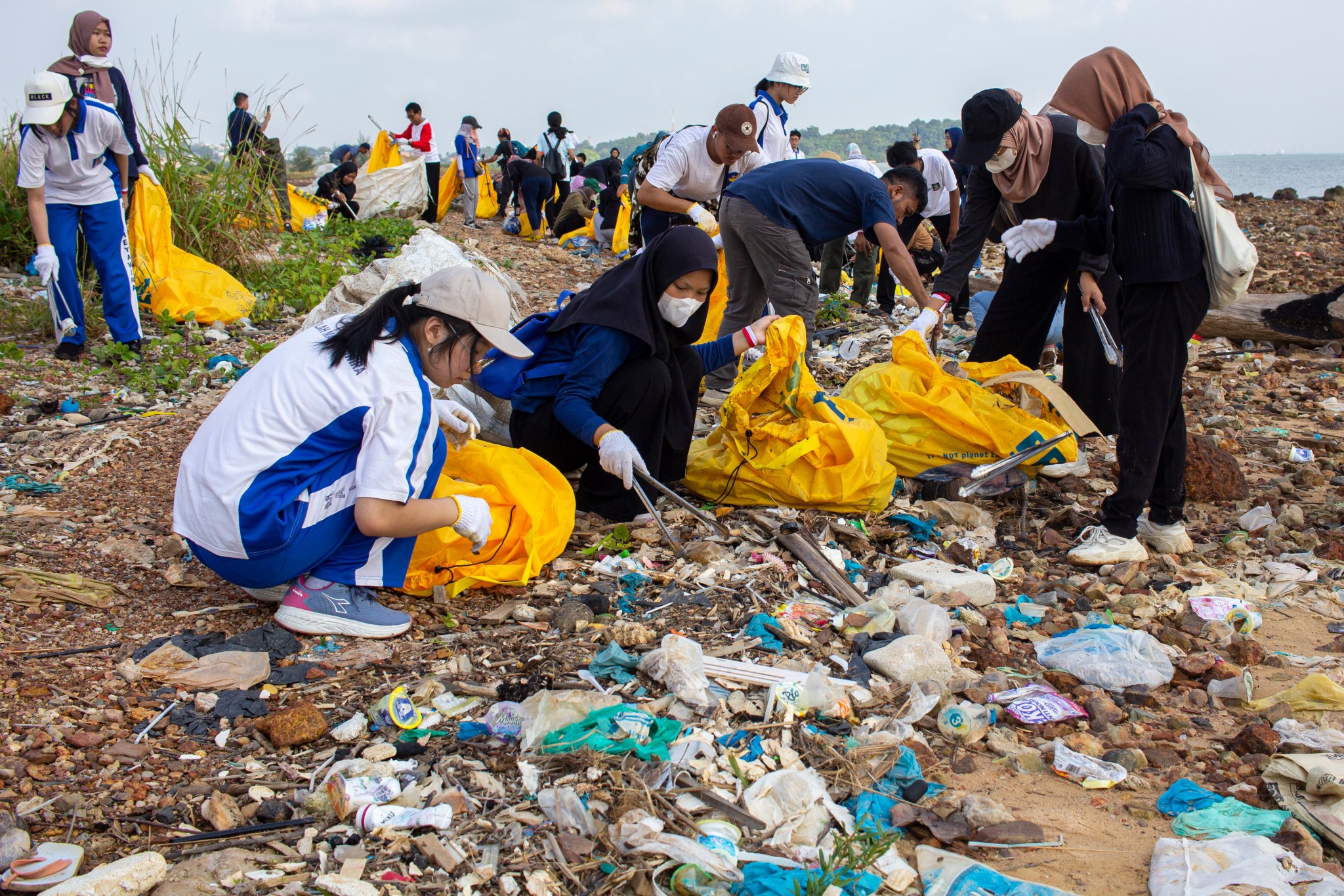 Plastic bag bans work, new study shows | Popular Science