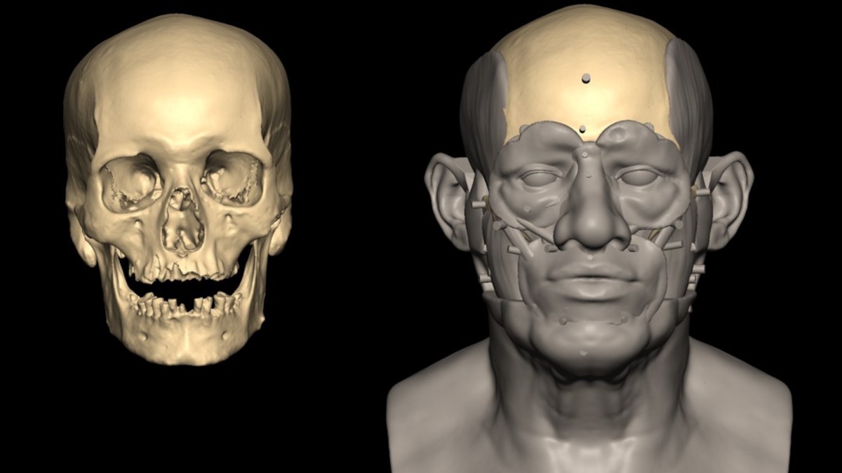 First complete ancient Egyptian DNA genome reveals his occupation | Popular  Science
