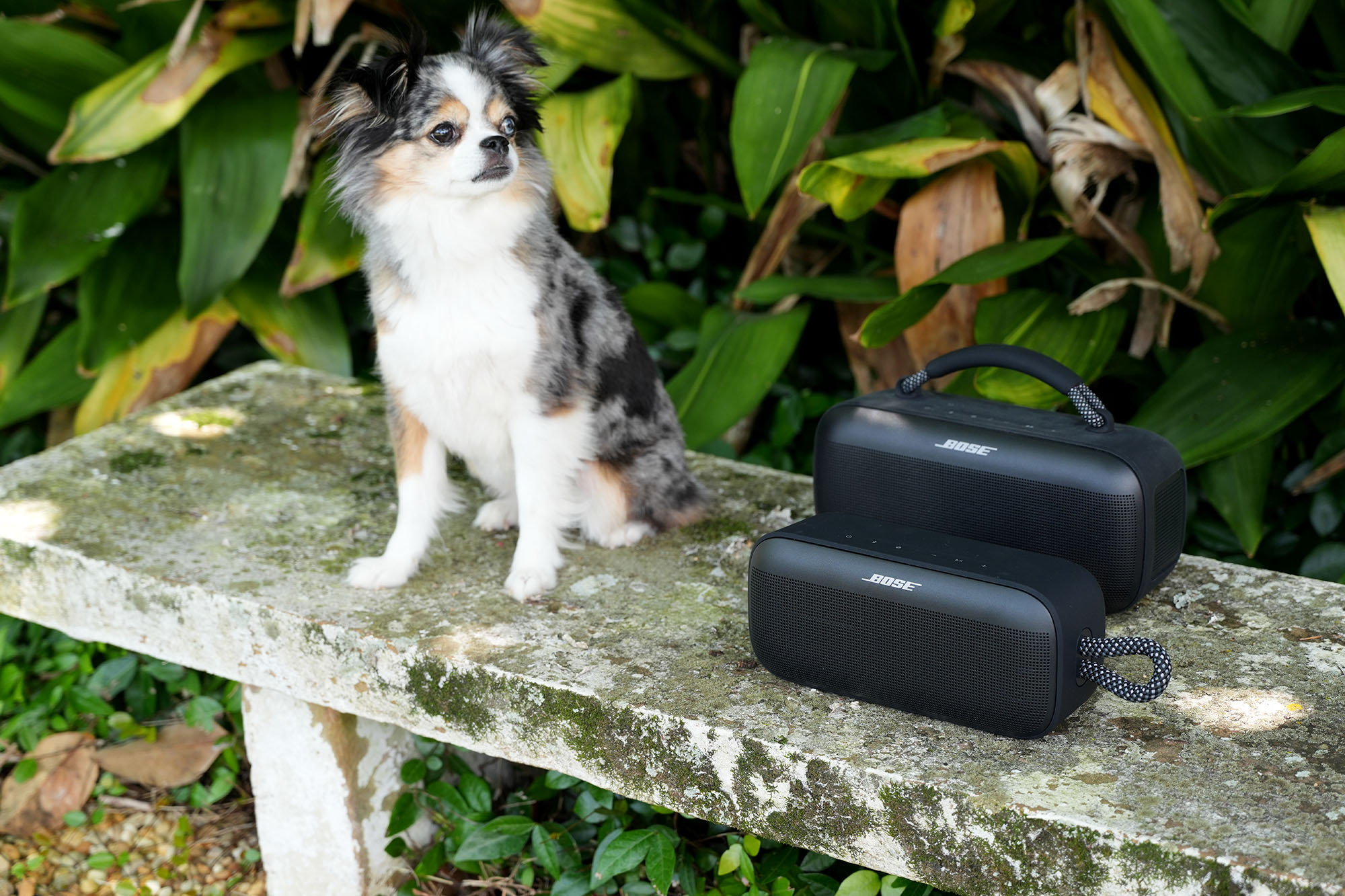 The new Bose SoundLink Plus portable Bluetooth speaker lets you