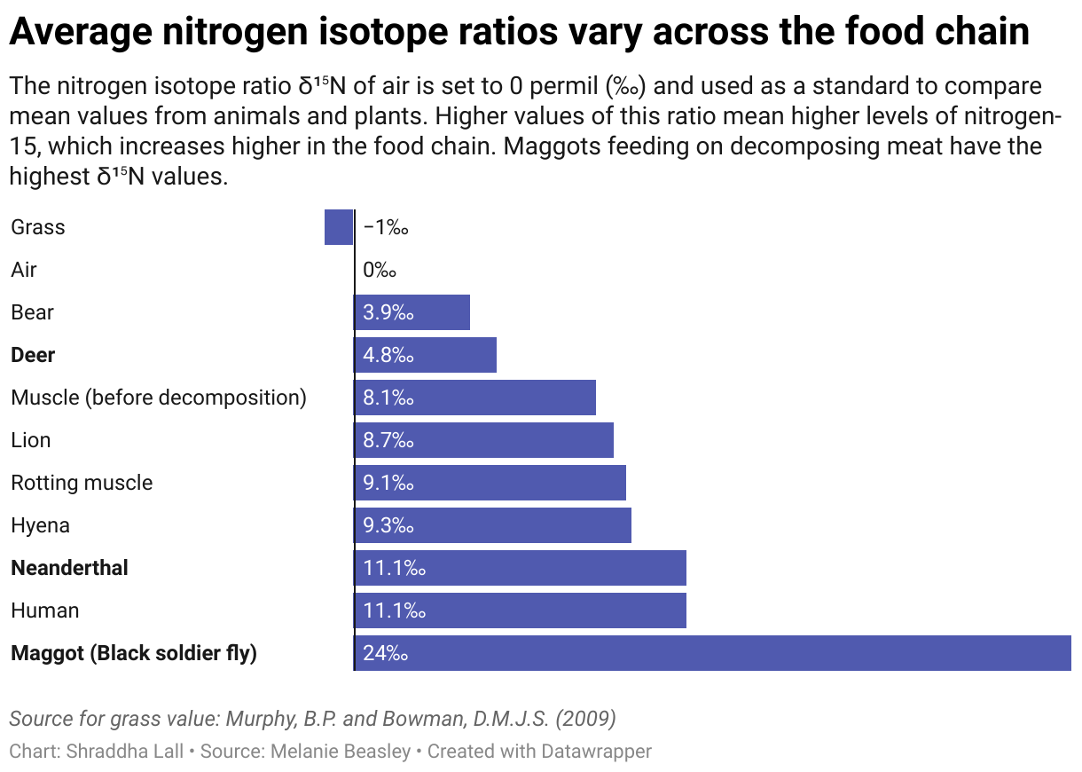 chart showing nitrogen isotope ratios in food chain