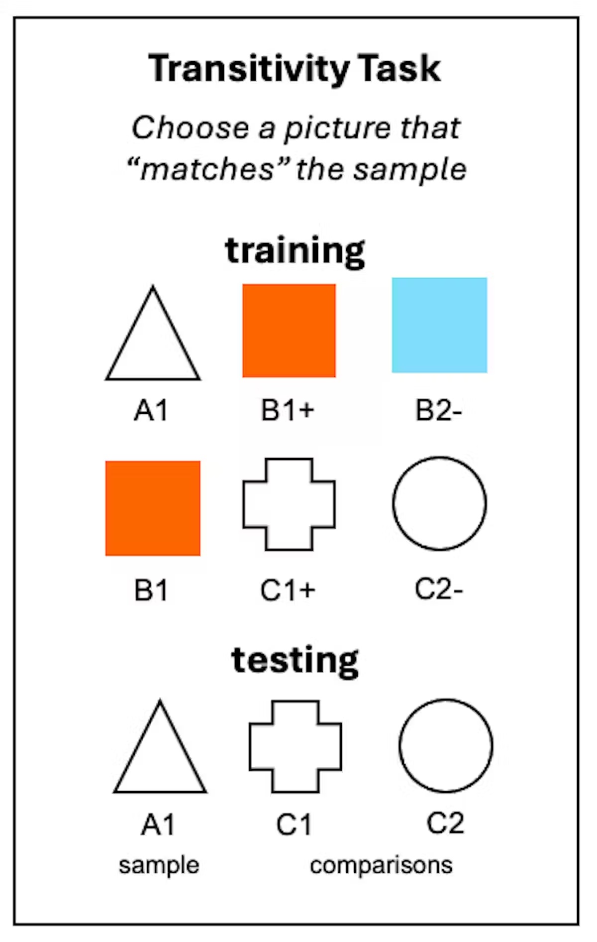 transitivity task 