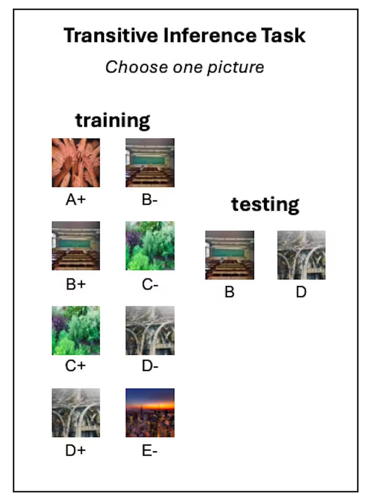 transitive inference task chart