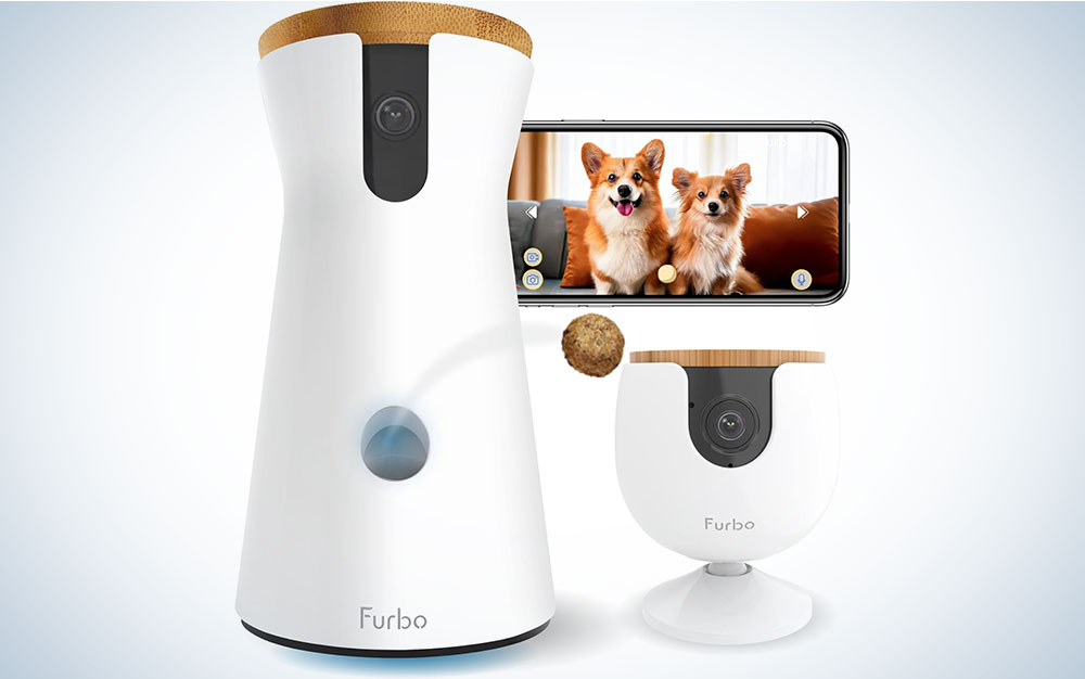 Amazon Prime Furbo On Sale Amazon Has This Furbo Pet Camera On