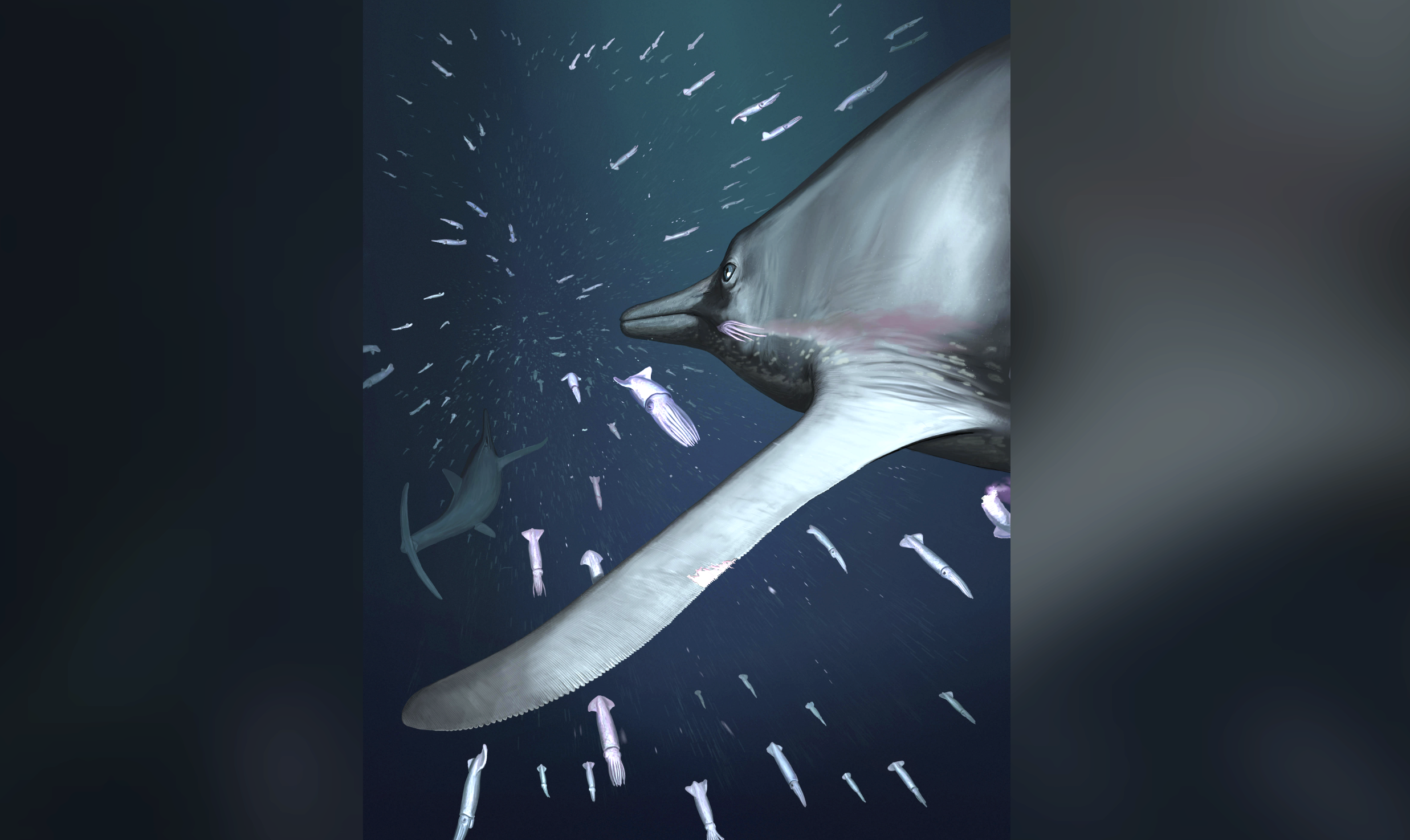 an illustration of a marine reptile with large fins and a beak swimming by several squid and one shark