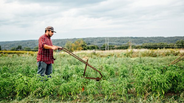 Science Tools Design Single Old-school gardening tools that are still worth using | Popular Science