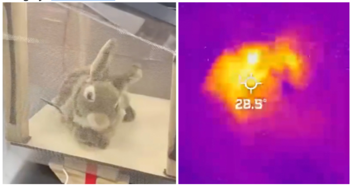 Robot bunnies deployed in Florida to fight invasive pythons | Popular ...