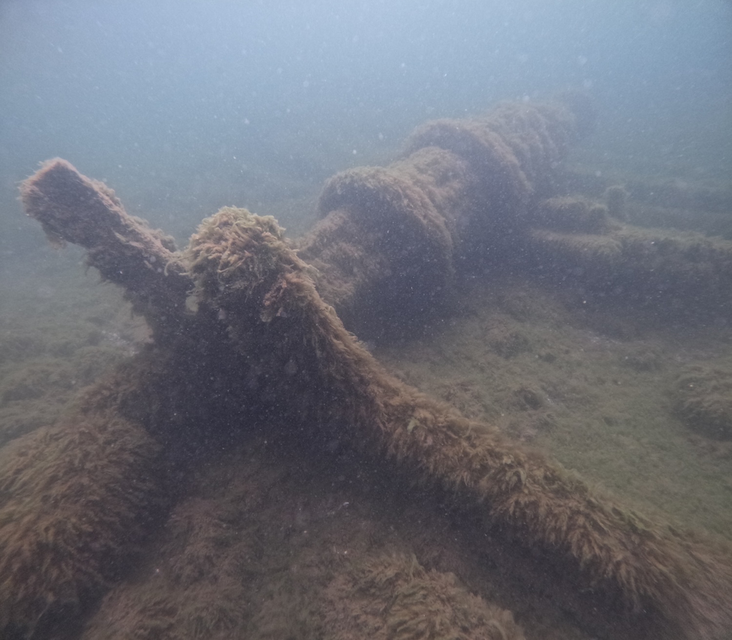 Portion of shipwreck underwater covered in algae