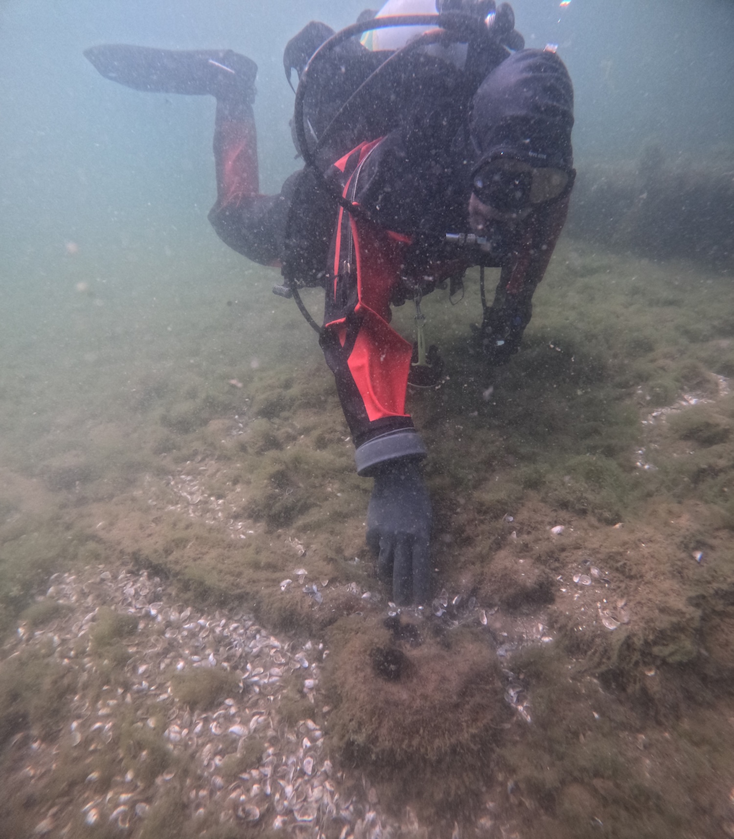 Diver examining shipwreck underwater
