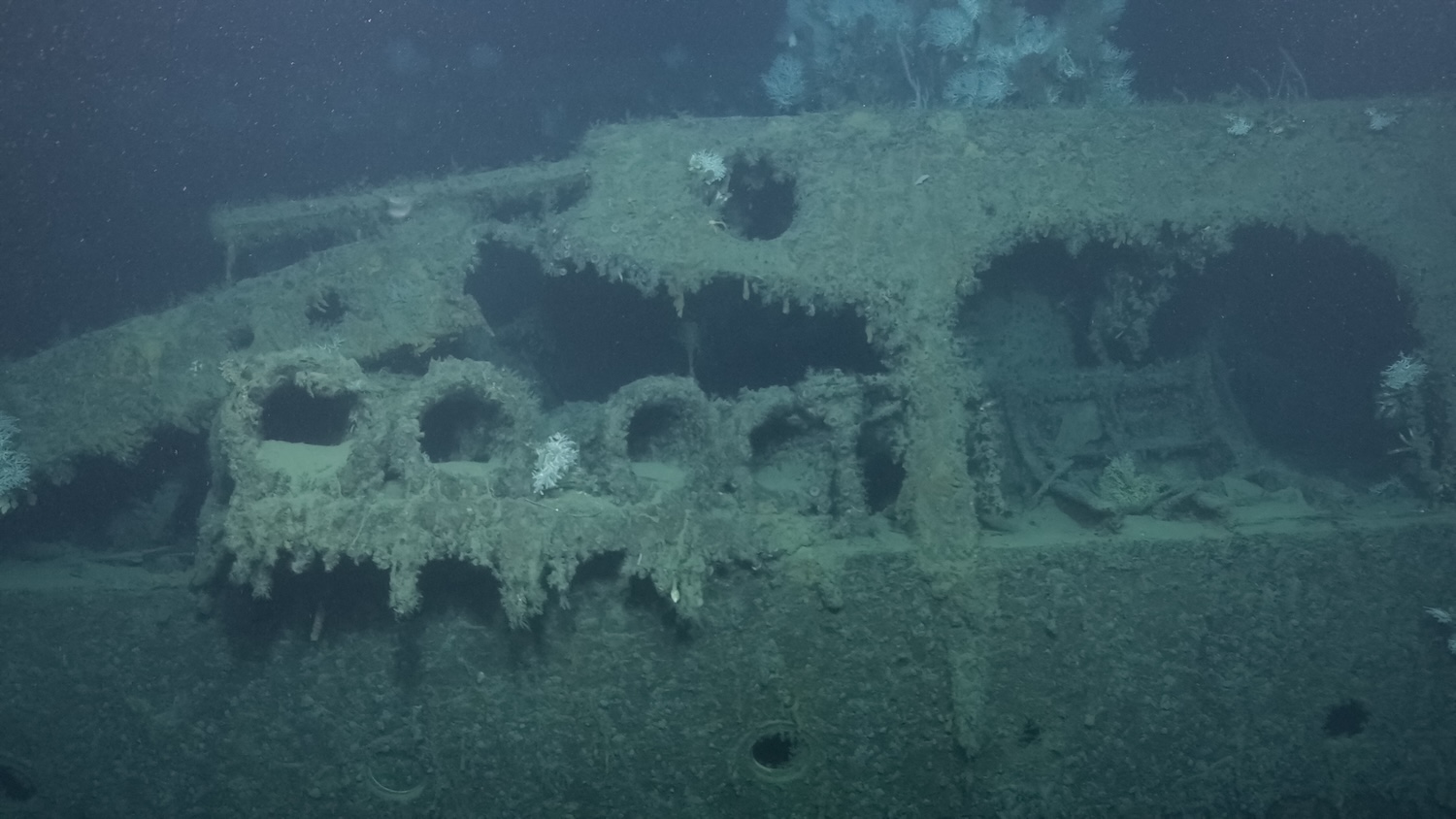 Close up of WWII shipwreck