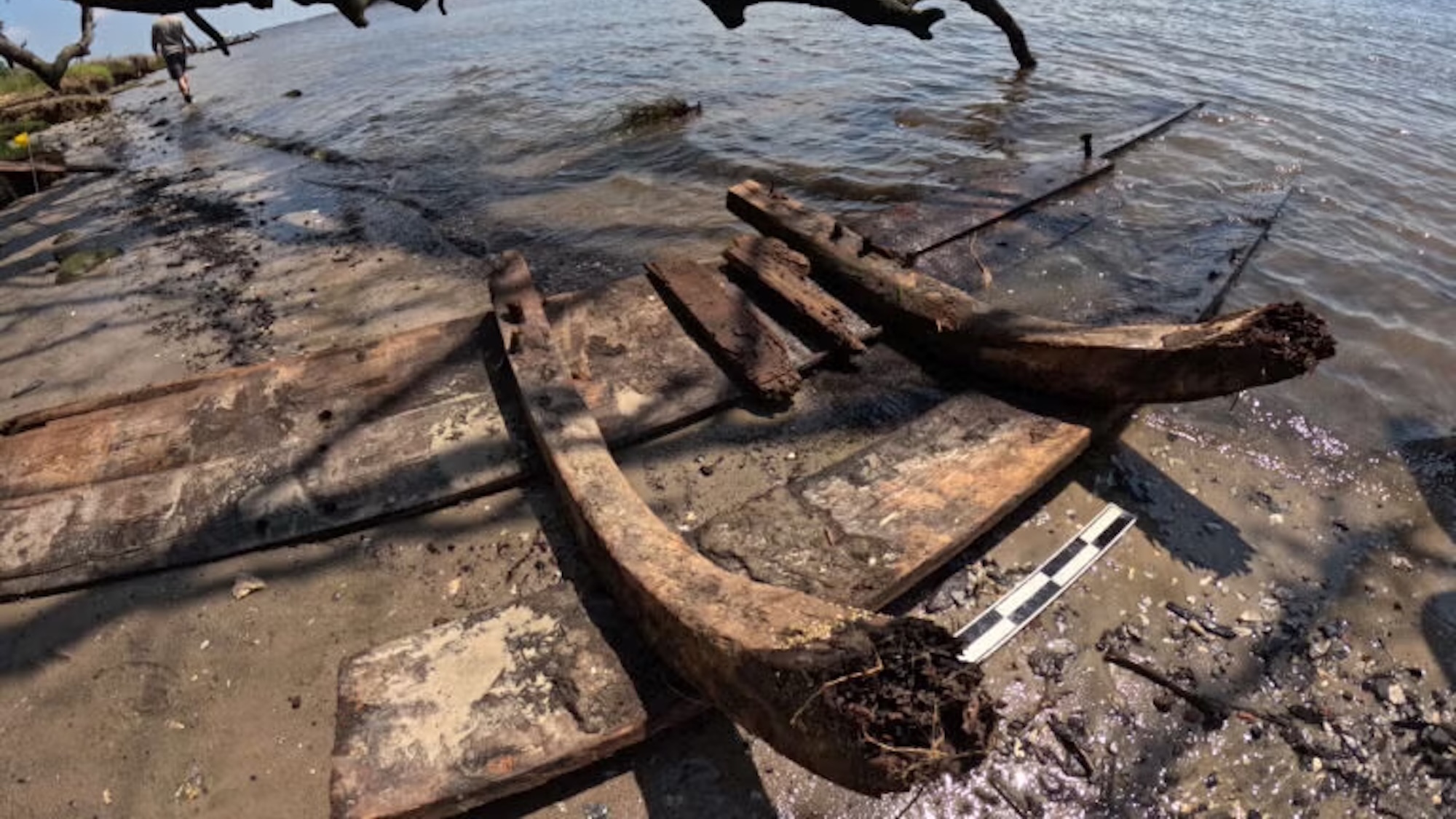 Wooden shipwreck timber on river shore