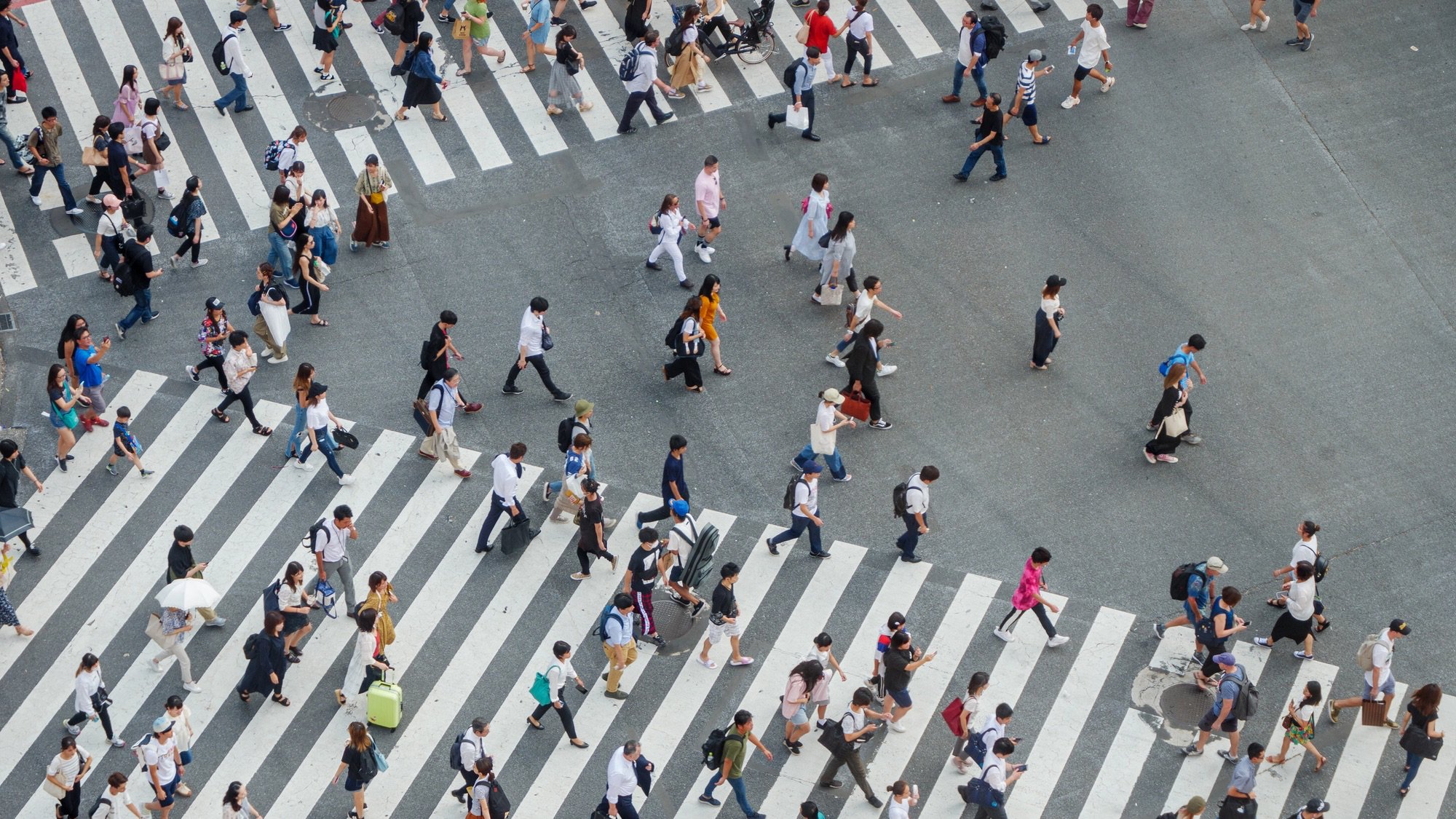 An elevated view of the famous Shibuya Crossing in Tokyo, Japan, filled with a large crowd of pedestrians. People of all ages are walking in various directions across the wide, multi-directional crosswalks, which form a pattern of thick white stripes on the gray pavement. The scene is bright and busy, capturing the constant flow of foot traffic.