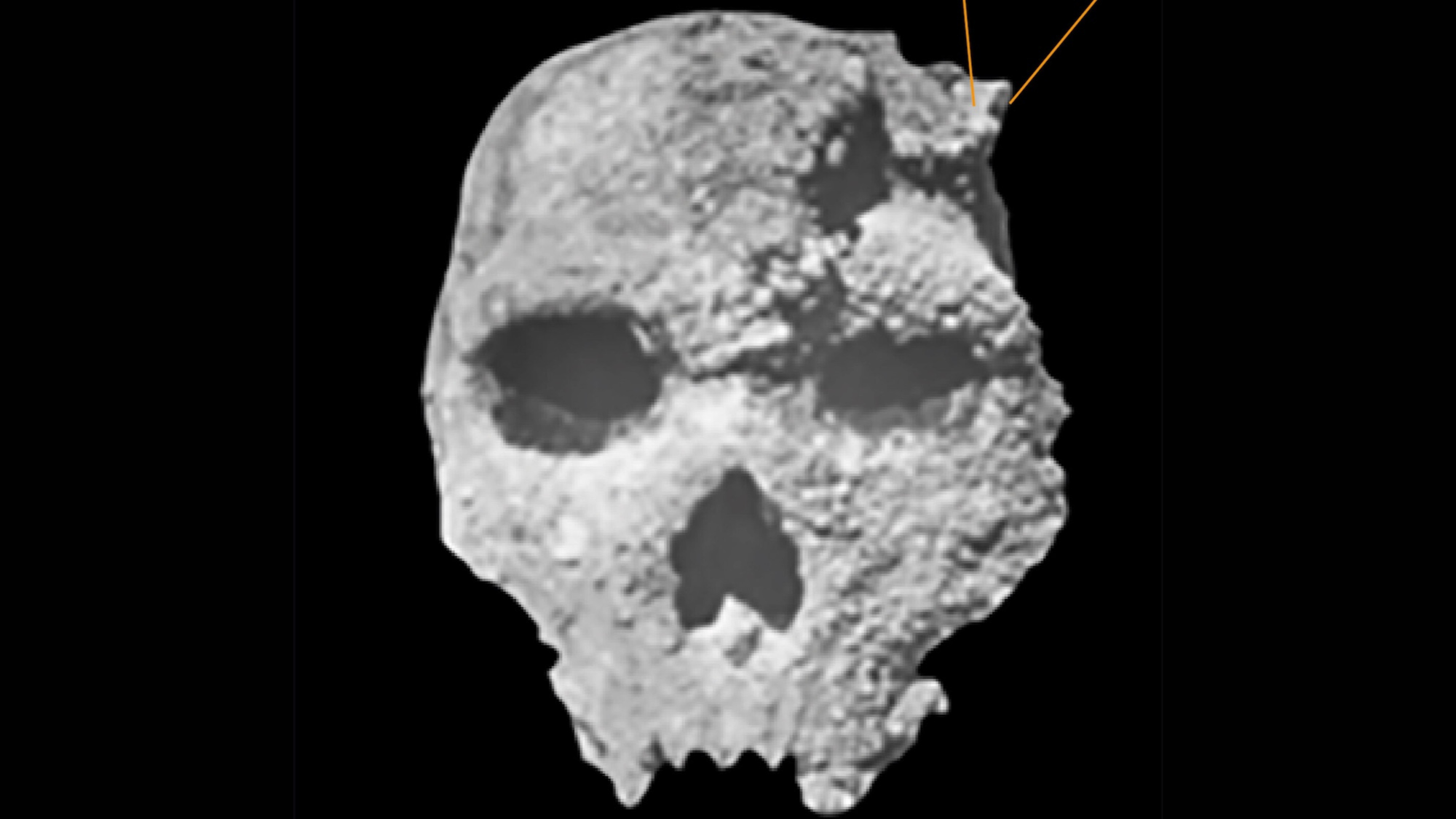 Petralona skull of ancient hominin