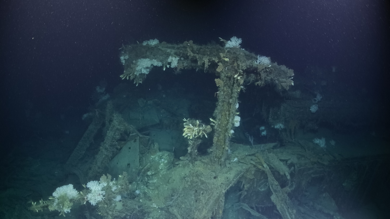 Shipwreck covered in barnacles