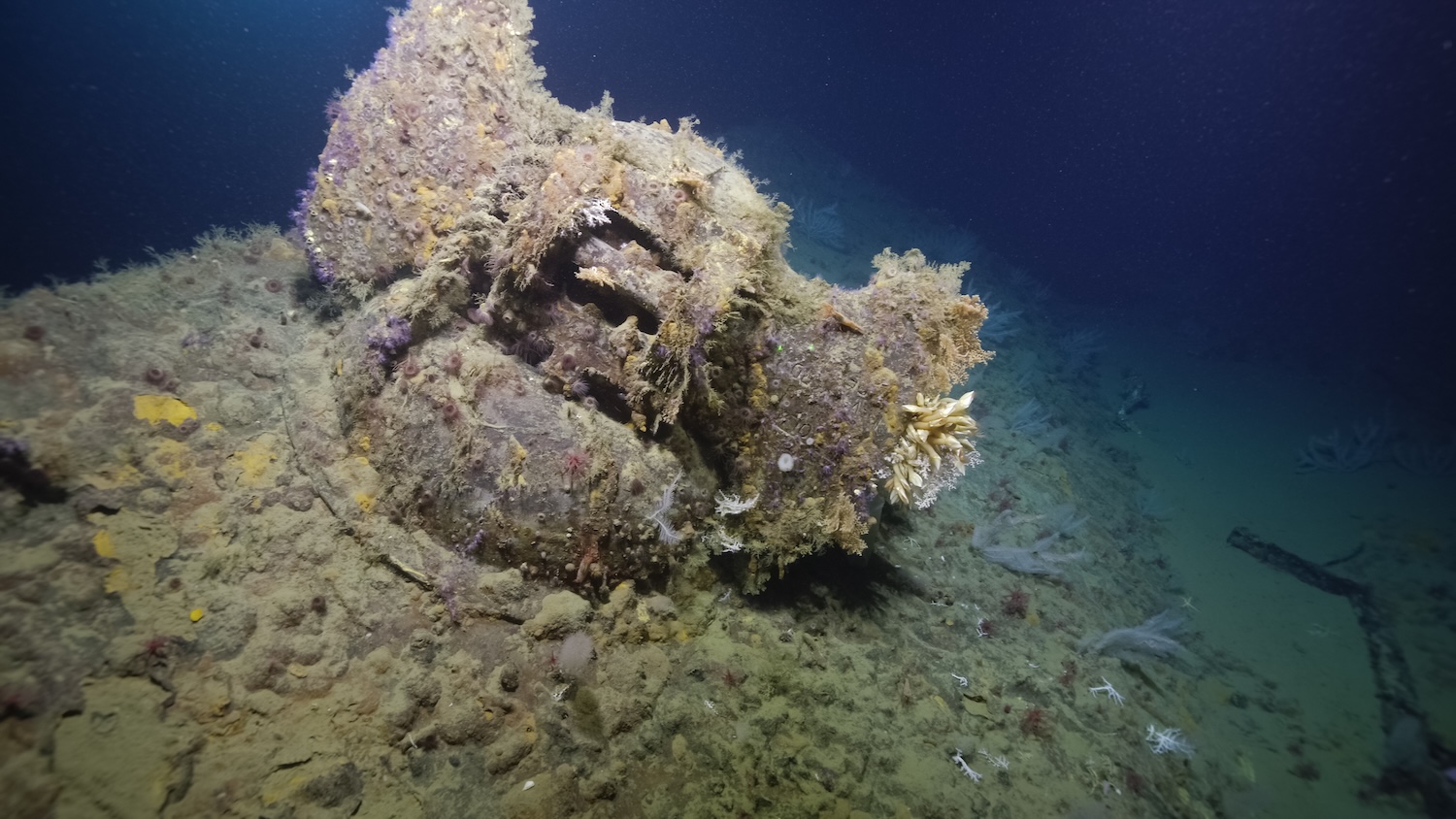 Bow of USS New Orleans shipwreck