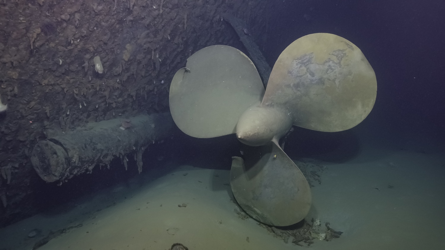Shipwreck propeller